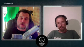 Нас спасуть розподілені сервіси, self-hosted та open source. Або ні