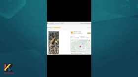 OSINT. Ідентифікація об'єктів флори та фауни