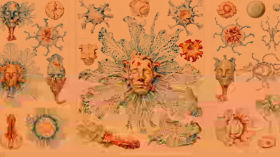 Мистецтво створення світу: проект "Маленькі марсіани"