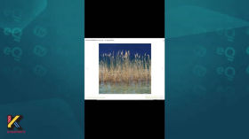 OSINT. Знаходимо місце зйомки фотографії