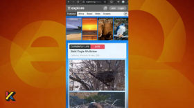 Ідентифікація природи. Частина 2